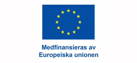 EU-emblem och texten Medfinansieras av Europeiska Unionen