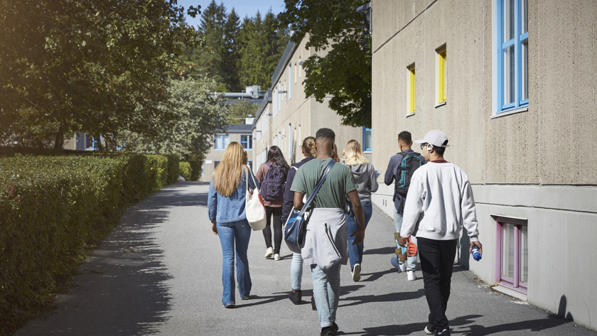 Sju ungdomar går förbi ett hus.